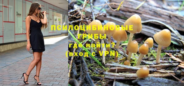 прущая мука Вяземский