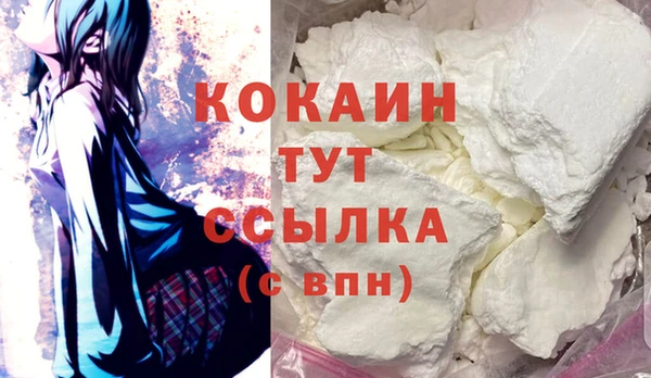 крисы Вязьма