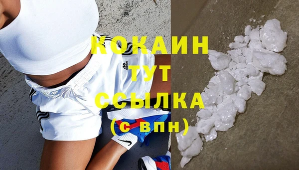 прущая мука Вяземский