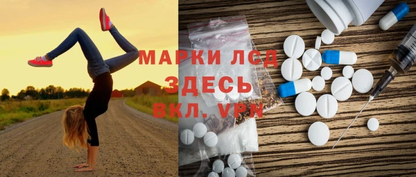 прущая мука Вяземский