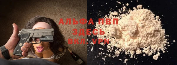 крисы Вязьма