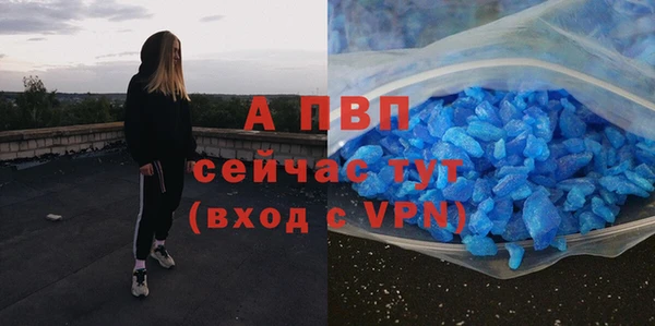 крисы Вязьма